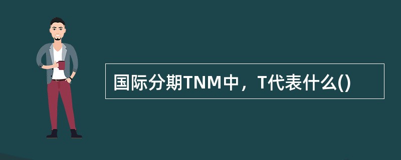 国际分期TNM中，T代表什么()