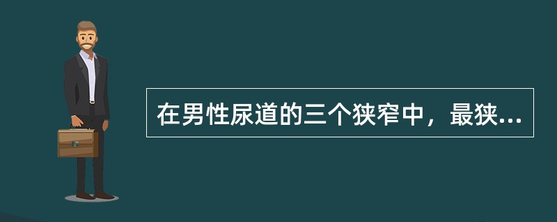 在男性尿道的三个狭窄中，最狭窄处位于（）.