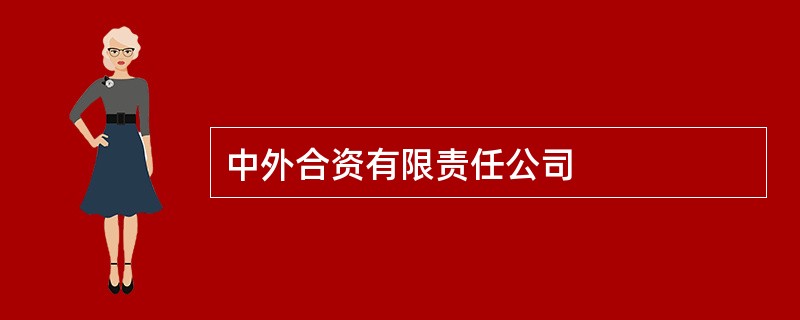 中外合资有限责任公司