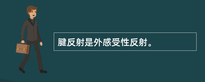 腱反射是外感受性反射。