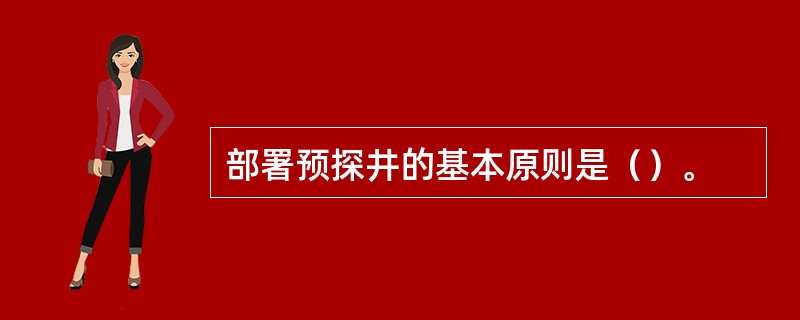 部署预探井的基本原则是（）。