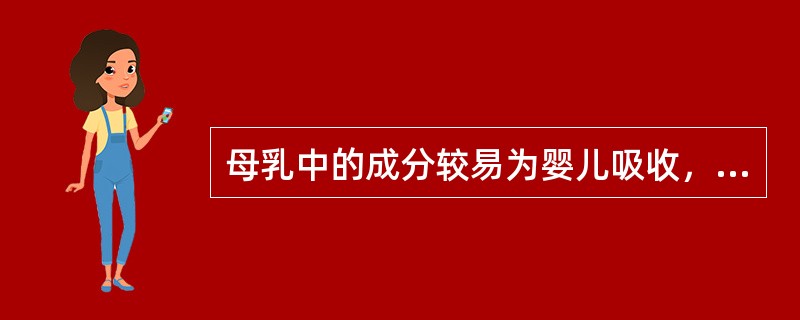 母乳中的成分较易为婴儿吸收，下列提法错误的是（）