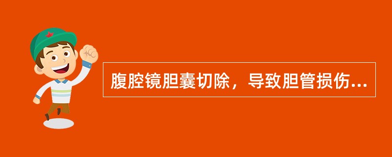 腹腔镜胆囊切除，导致胆管损伤的原因是（）