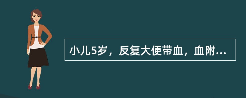 小儿5岁，反复大便带血，血附于大便外面，大便次数和性状正常，首先考虑的诊断是（）
