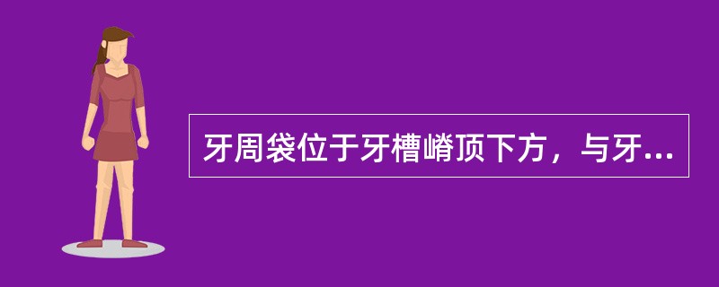 牙周袋位于牙槽嵴顶下方，与牙槽骨垂直吸收有关的是（）