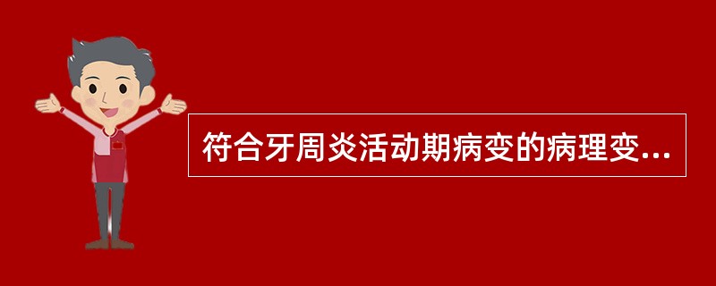 符合牙周炎活动期病变的病理变化是（）