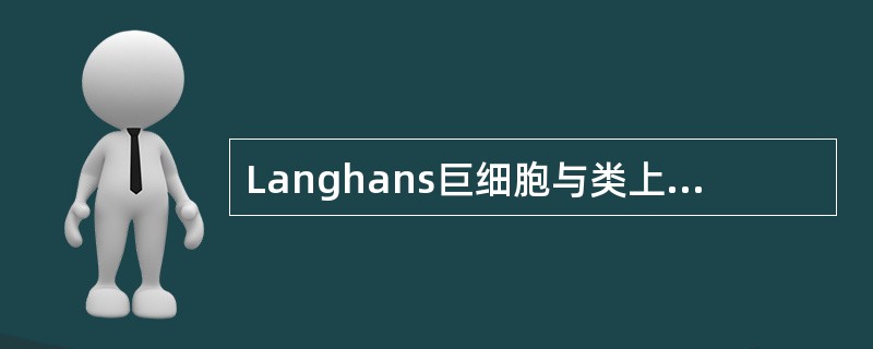 Langhans巨细胞与类上皮细胞的共同特点不包括以下哪项()