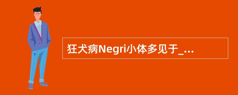 狂犬病Negri小体多见于_______、______及______等部位。