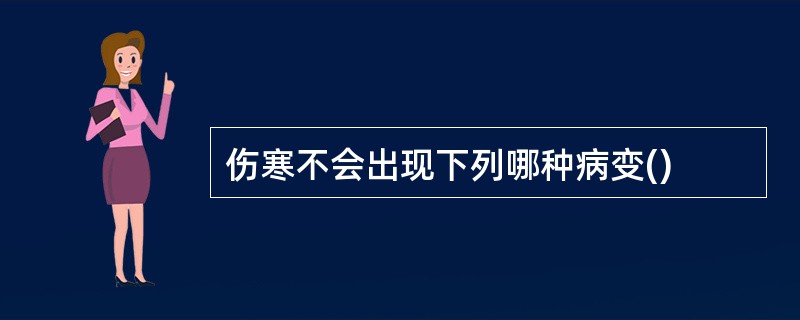 伤寒不会出现下列哪种病变()