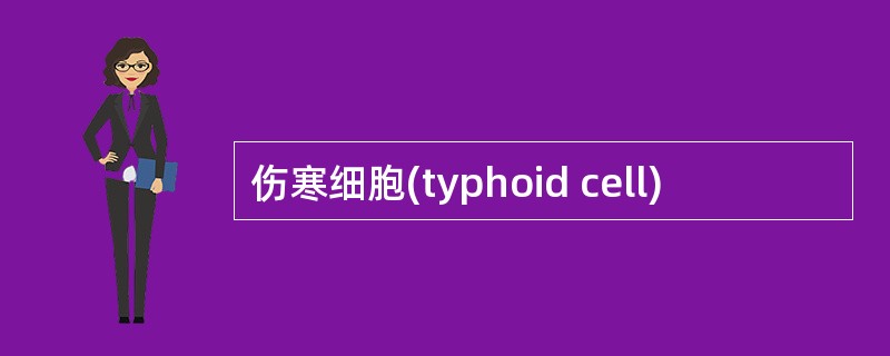 伤寒细胞(typhoid cell)