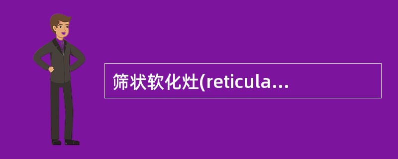 筛状软化灶(reticular softening lesion)