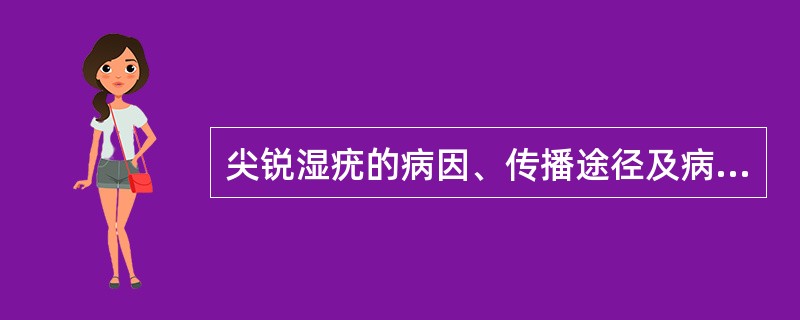 尖锐湿疣的病因、传播途径及病变特点是什么?