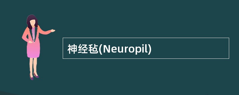 神经毡(Neuropil)