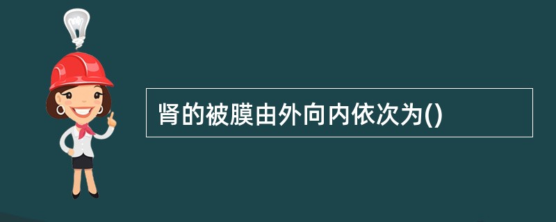 肾的被膜由外向内依次为()