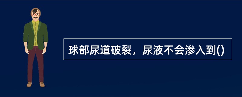 球部尿道破裂，尿液不会渗入到()