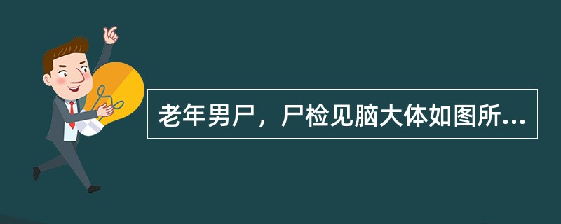 老年男尸，尸检见脑大体如图所示，镜检如图所示，最可能的诊断为()