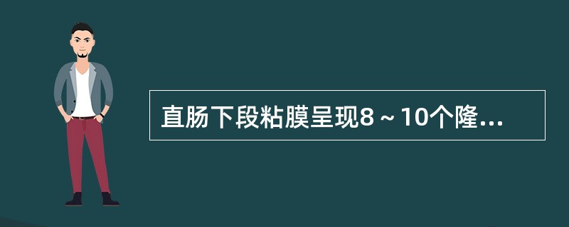 直肠下段粘膜呈现8～10个隆起的纵形皱襞，称为()肛柱基底之间的半月形皱襞，称为