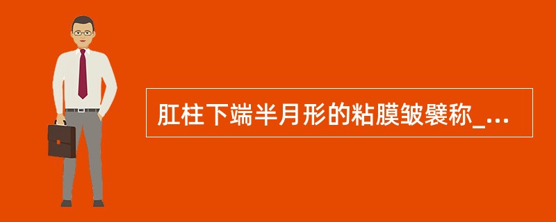 肛柱下端半月形的粘膜皱襞称______。