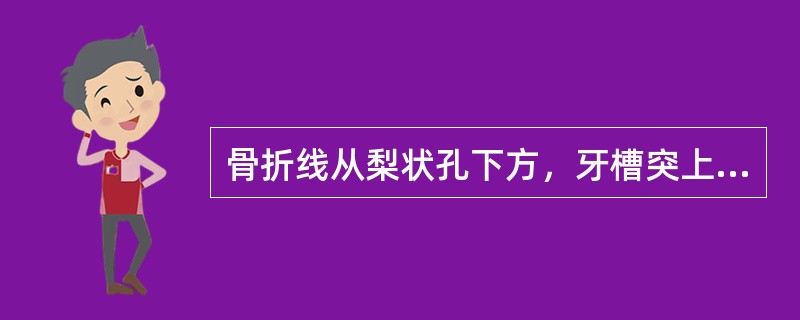 骨折线从梨状孔下方，牙槽突上方两侧水平方向延伸至上颌翼突（）