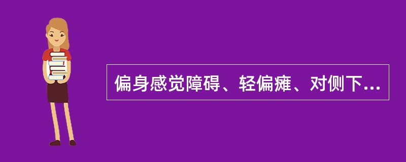 偏身感觉障碍、轻偏瘫、对侧下象限盲（）