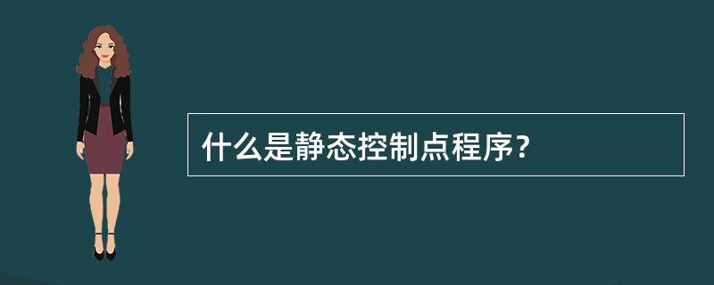 什么是静态控制点程序？