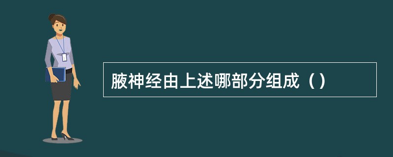 腋神经由上述哪部分组成（）