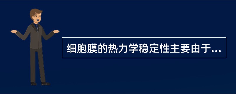 细胞膜的热力学稳定性主要由于（）