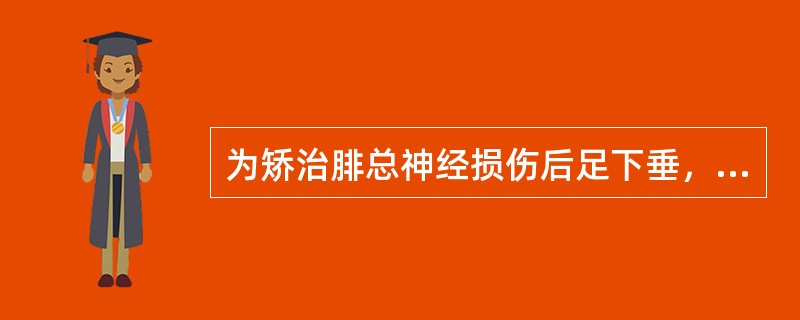 为矫治腓总神经损伤后足下垂，最好选用（）