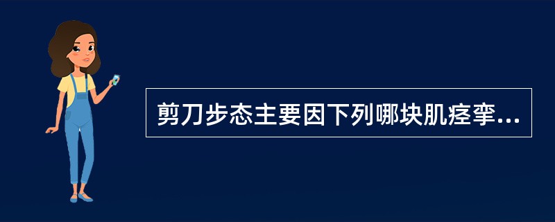 剪刀步态主要因下列哪块肌痉挛造成的（）