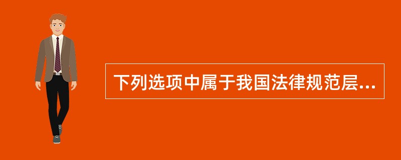 下列选项中属于我国法律规范层的有（）。