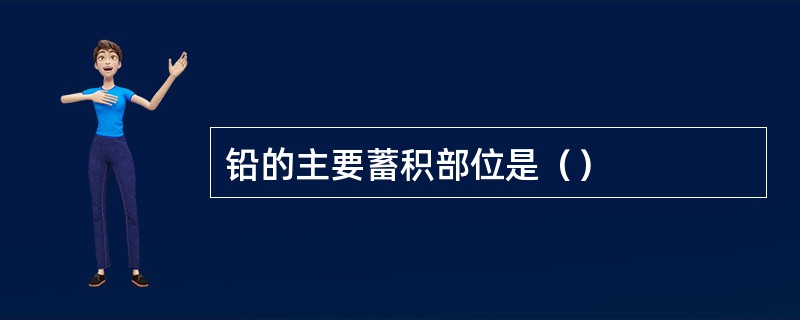 铅的主要蓄积部位是（）