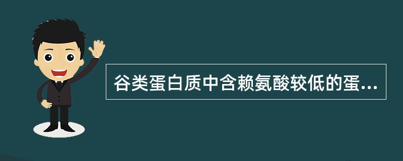 谷类蛋白质中含赖氨酸较低的蛋白质组分是（）