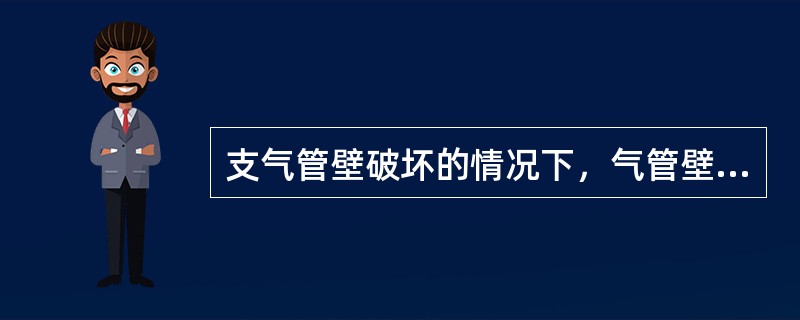 支气管壁破坏的情况下，气管壁过早塌陷的原因是（）