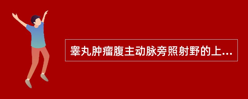 睾丸肿瘤腹主动脉旁照射野的上界为（）。