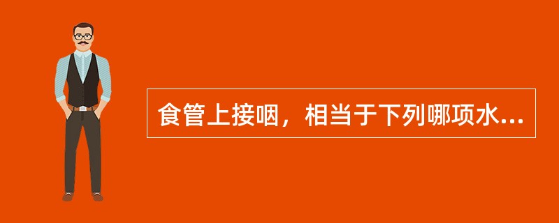 食管上接咽，相当于下列哪项水平，沿气管后缘经上纵隔，过横膈的食管裂孔止于胃的贲门