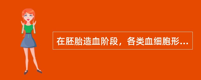 在胚胎造血阶段，各类血细胞形成的顺序是（）