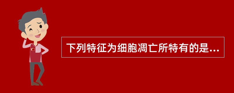 下列特征为细胞凋亡所特有的是（）