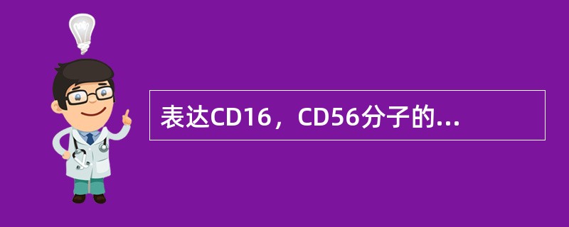 表达CD16，CD56分子的细胞是（）.