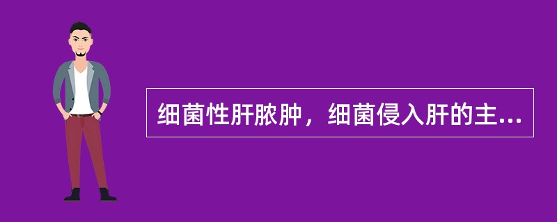 细菌性肝脓肿，细菌侵入肝的主要途径是()