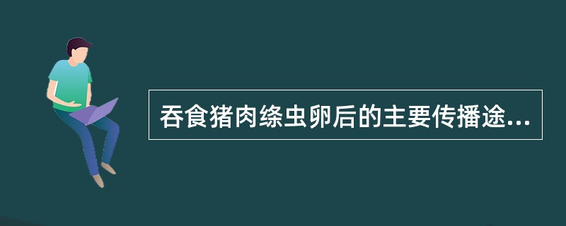 吞食猪肉绦虫卵后的主要传播途径有（）