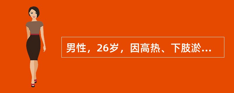 男性，26岁，因高热、下肢淤斑10天入院，体查：轻度贫血貌，双下肢有散在淤斑和出