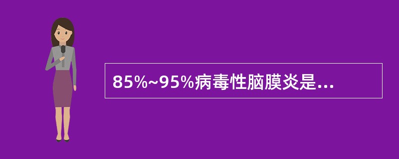 85%~95%病毒性脑膜炎是由哪种病毒引起（）