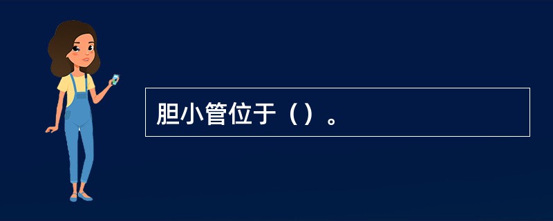 胆小管位于（）。