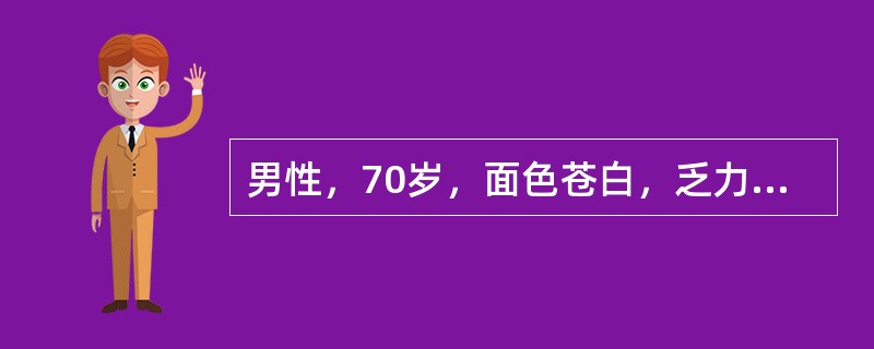 男性，70岁，面色苍白，乏力半年，腰痛1个月。查体：肝脾不大，血红蛋白80g/L