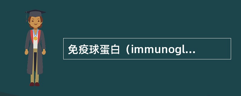 免疫球蛋白（immunoglobulin，Ig）（）