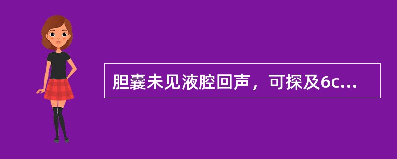 胆囊未见液腔回声，可探及6cm×5cm形态不规则的低回声不均匀实性肿块，内见多发