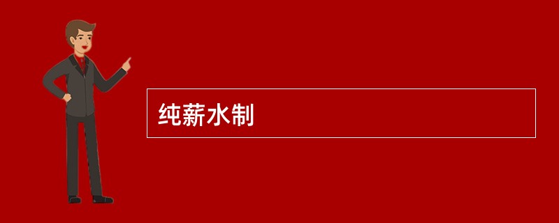 纯薪水制