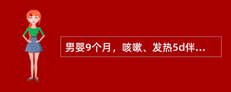 男婴9个月，咳嗽、发热5d伴呕吐，已接种过卡介苗。嗜睡，两肺散在中小水泡音，前囟