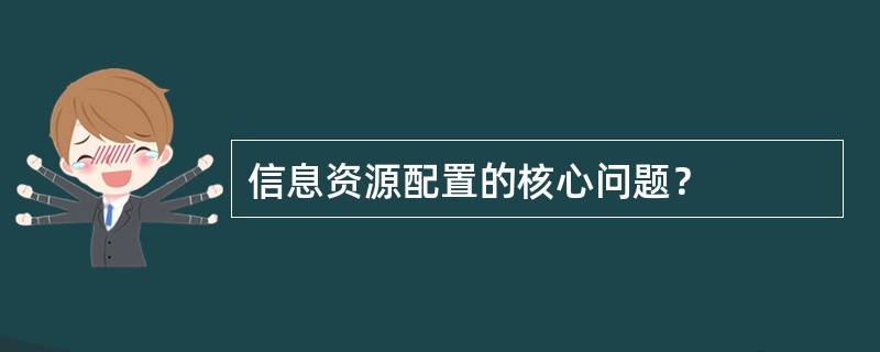 信息资源配置的核心问题？