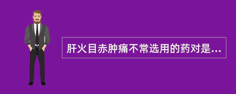 肝火目赤肿痛不常选用的药对是（）